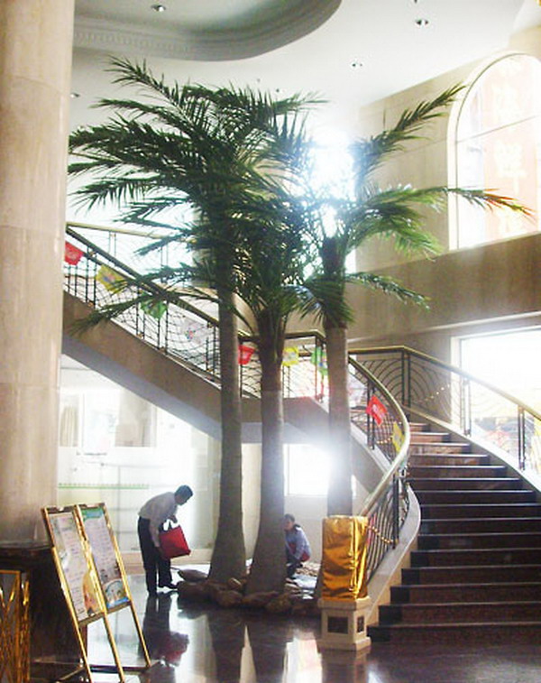 南京方愿金陵国际大酒店大厅椰子树  昆明佳萌景观工程有限公司
